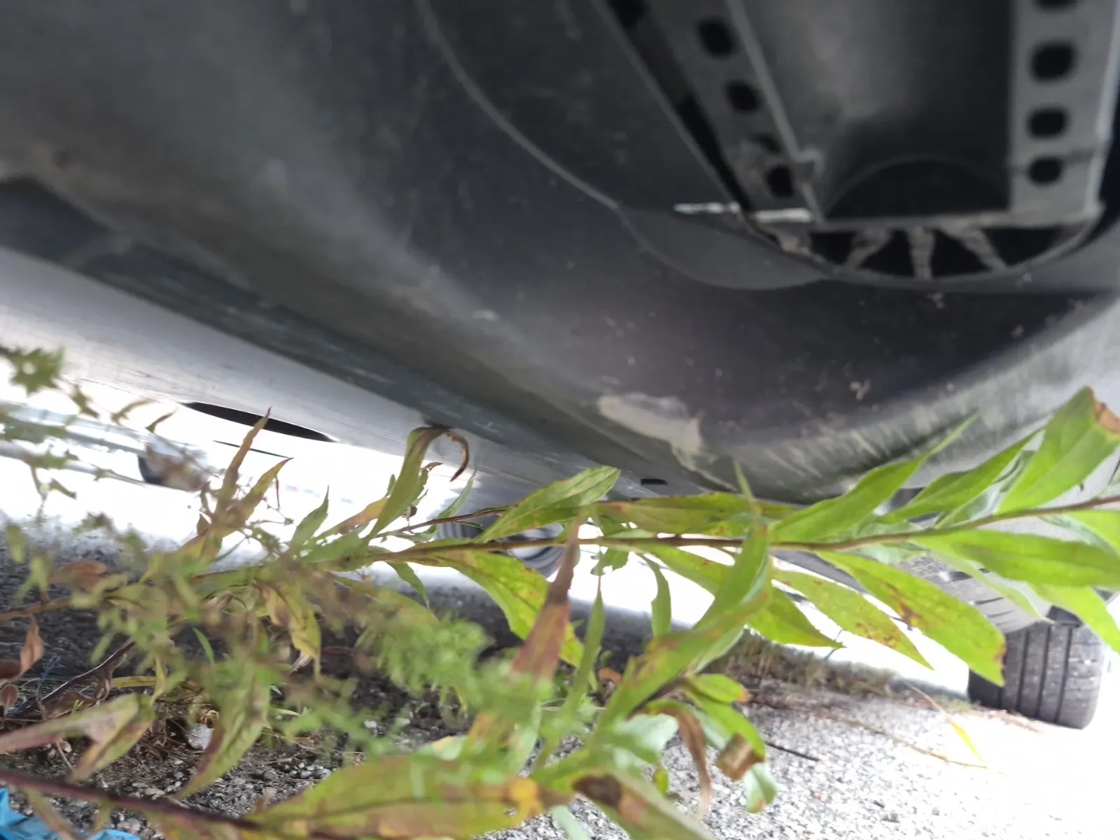 Undercarriage - Passenger Photo