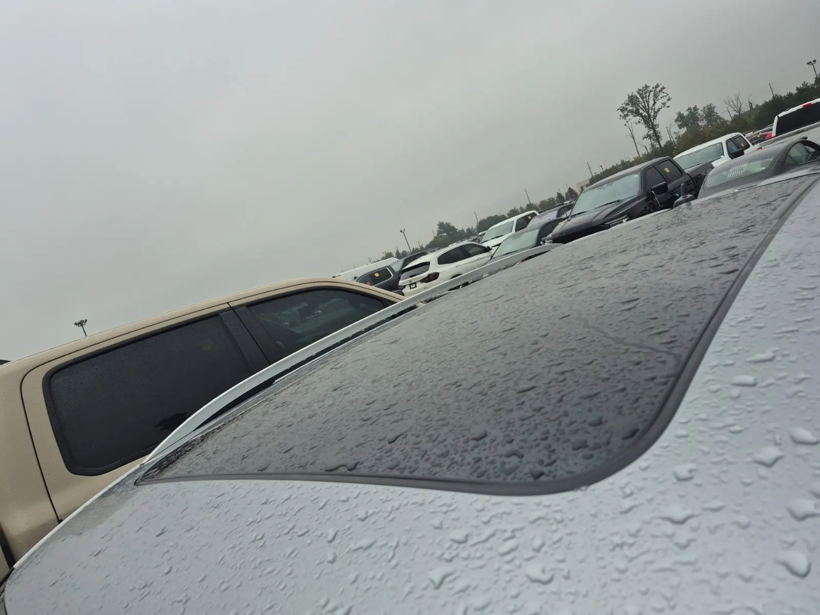 Exterior Roof Photo