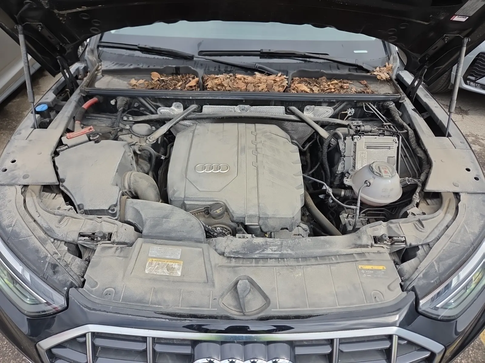 Engine Photo