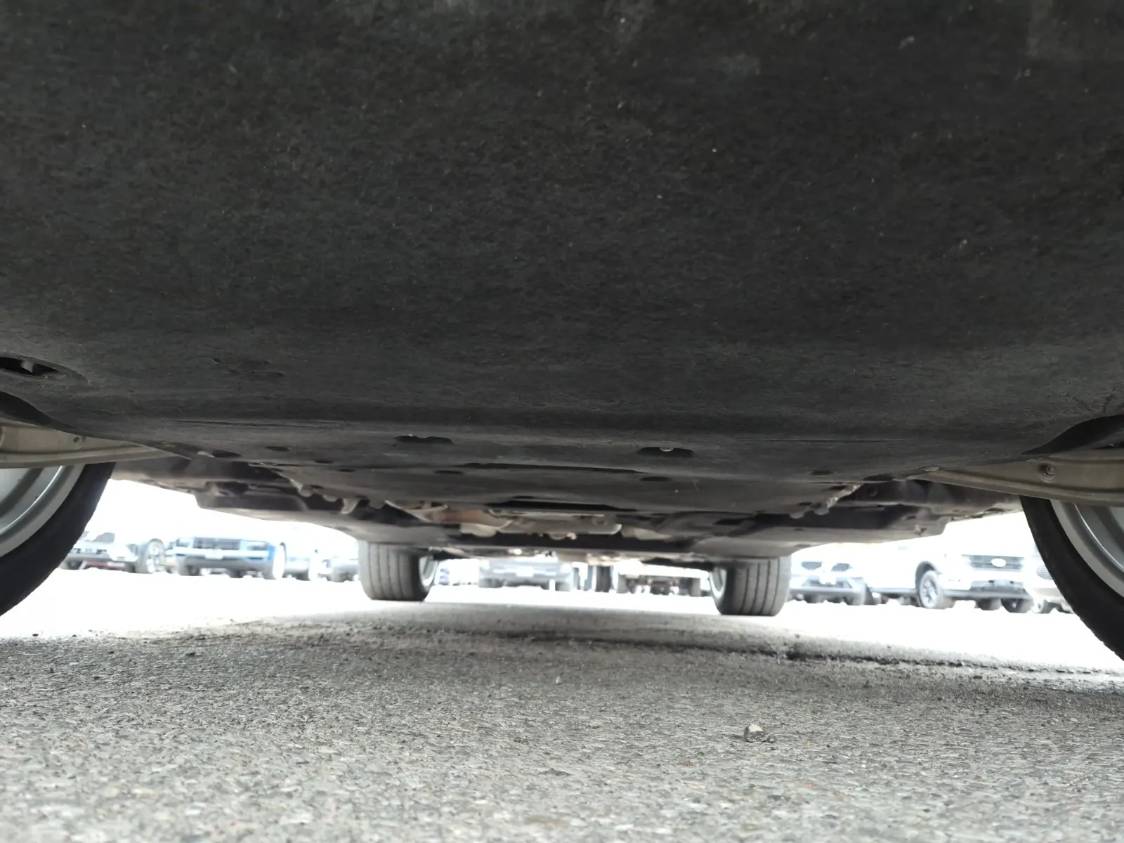 Undercarriage - Front Photo