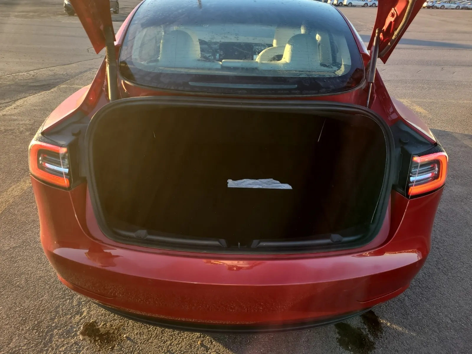 Cargo Area Photo