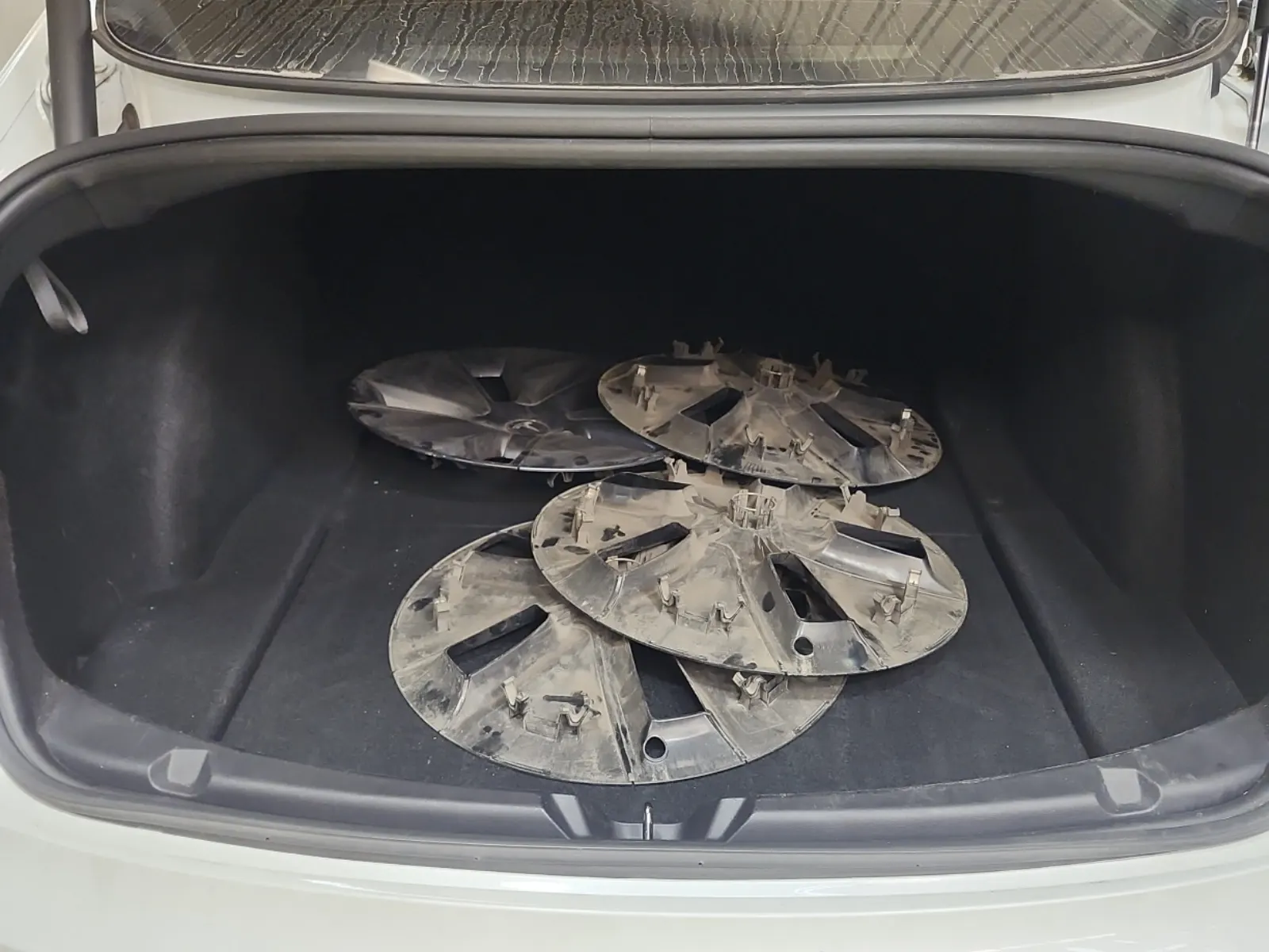 Cargo Area Photo