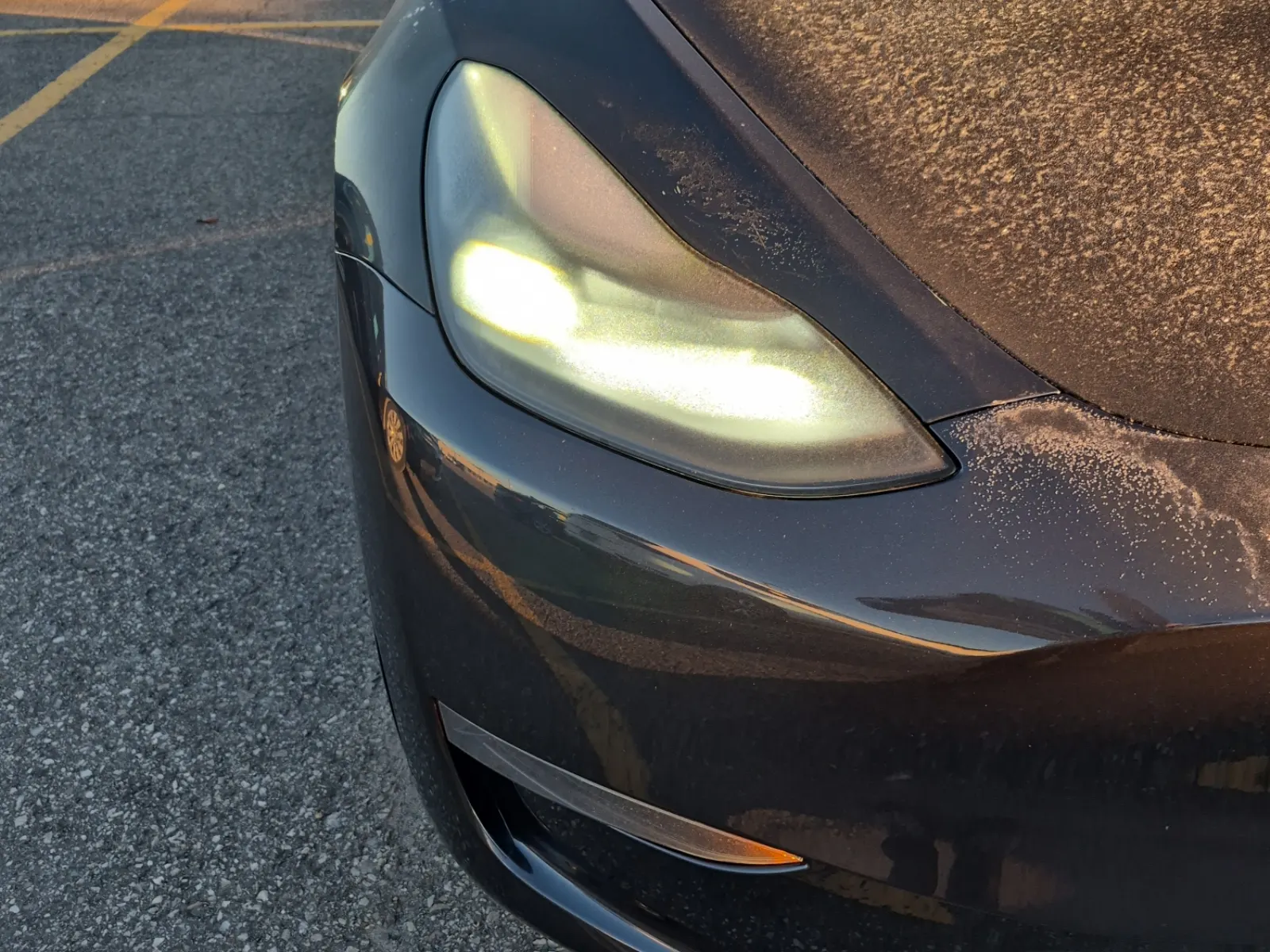 Extra Photo 2
