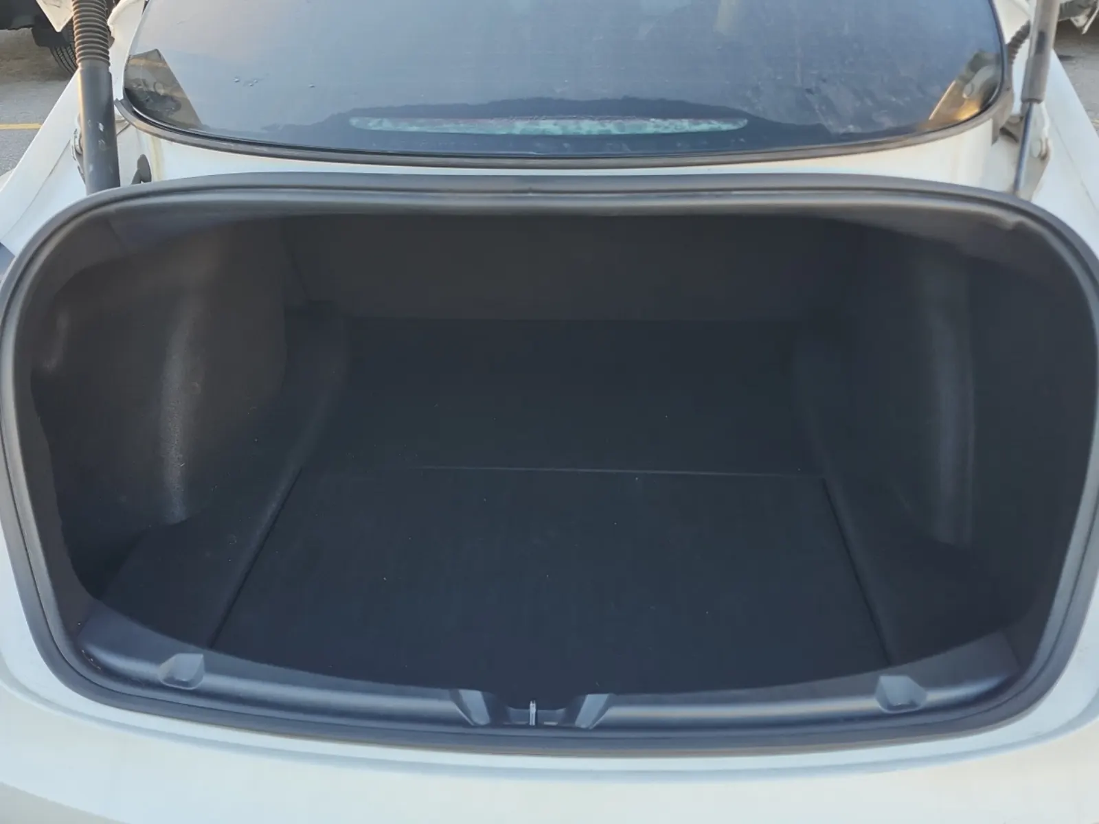 Cargo Area Photo