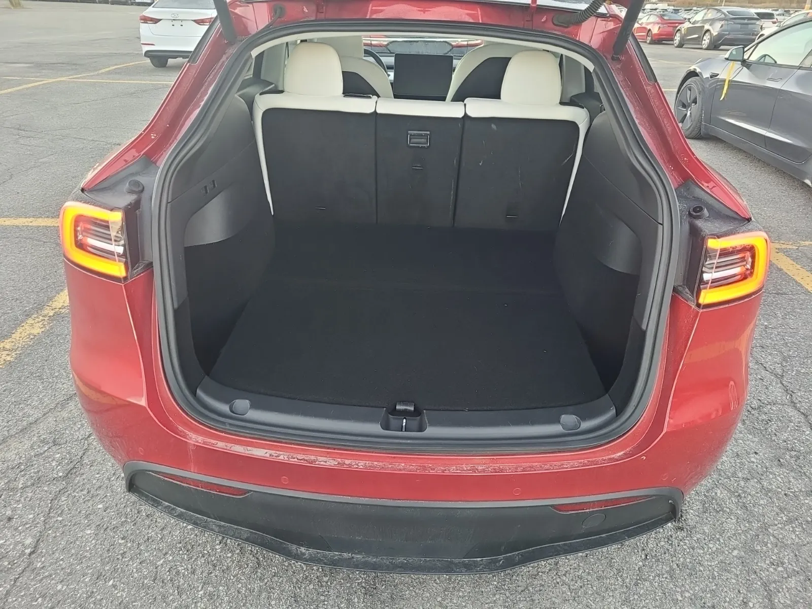 Cargo Area Photo