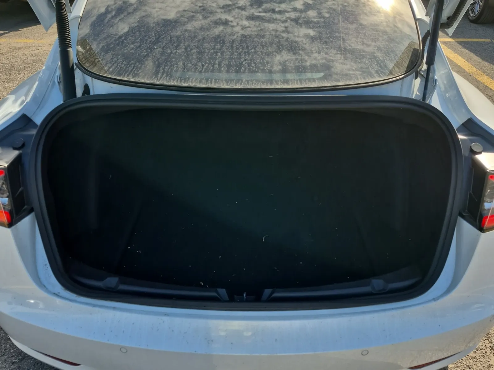 Cargo Area Photo