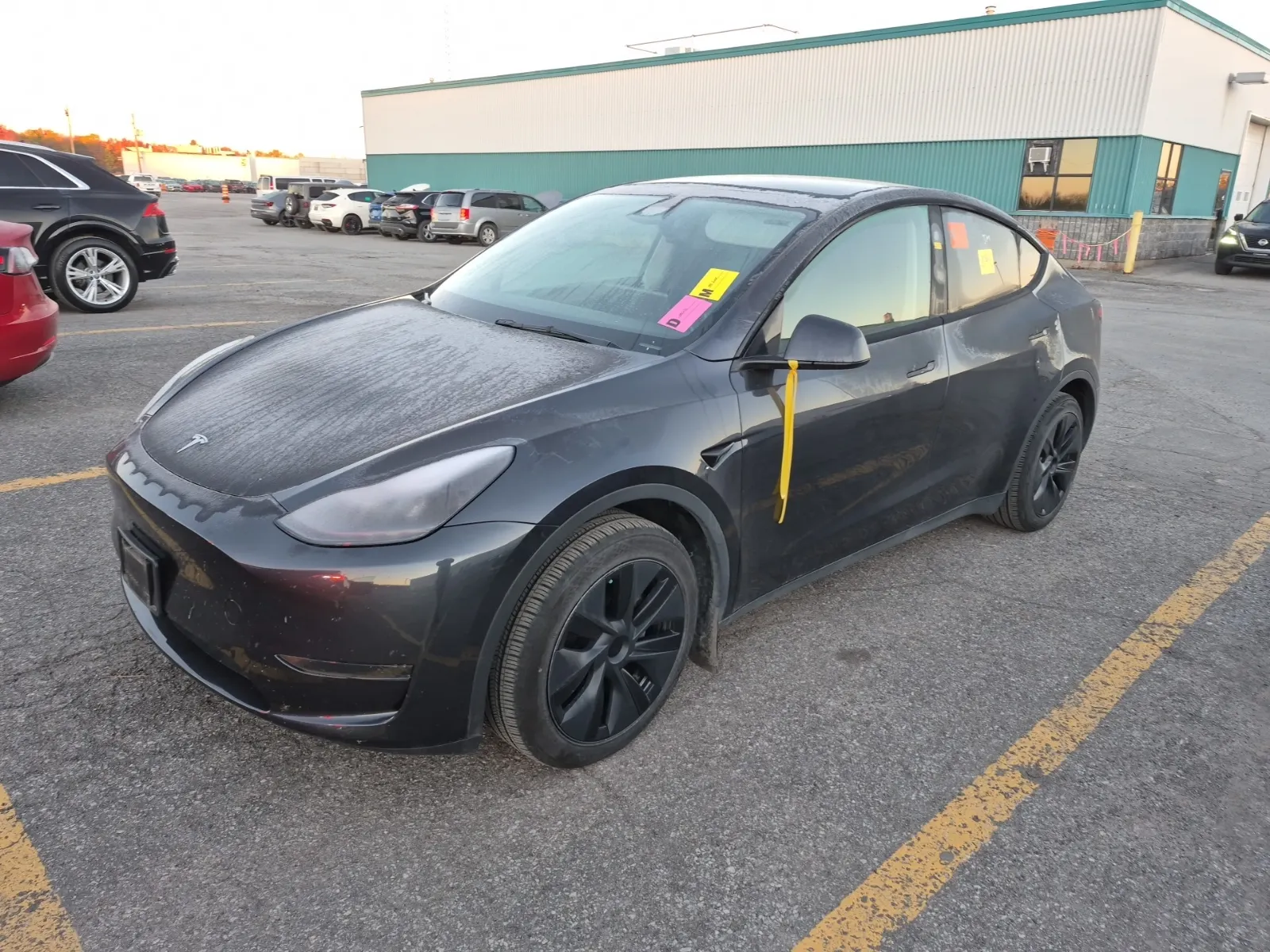 2024 Tesla Model Y