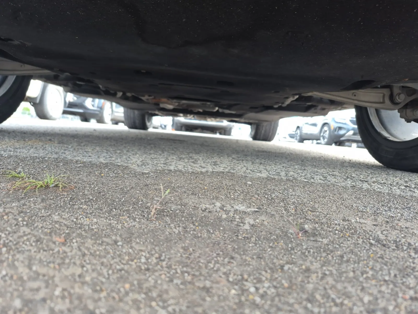 Undercarriage - Front Photo