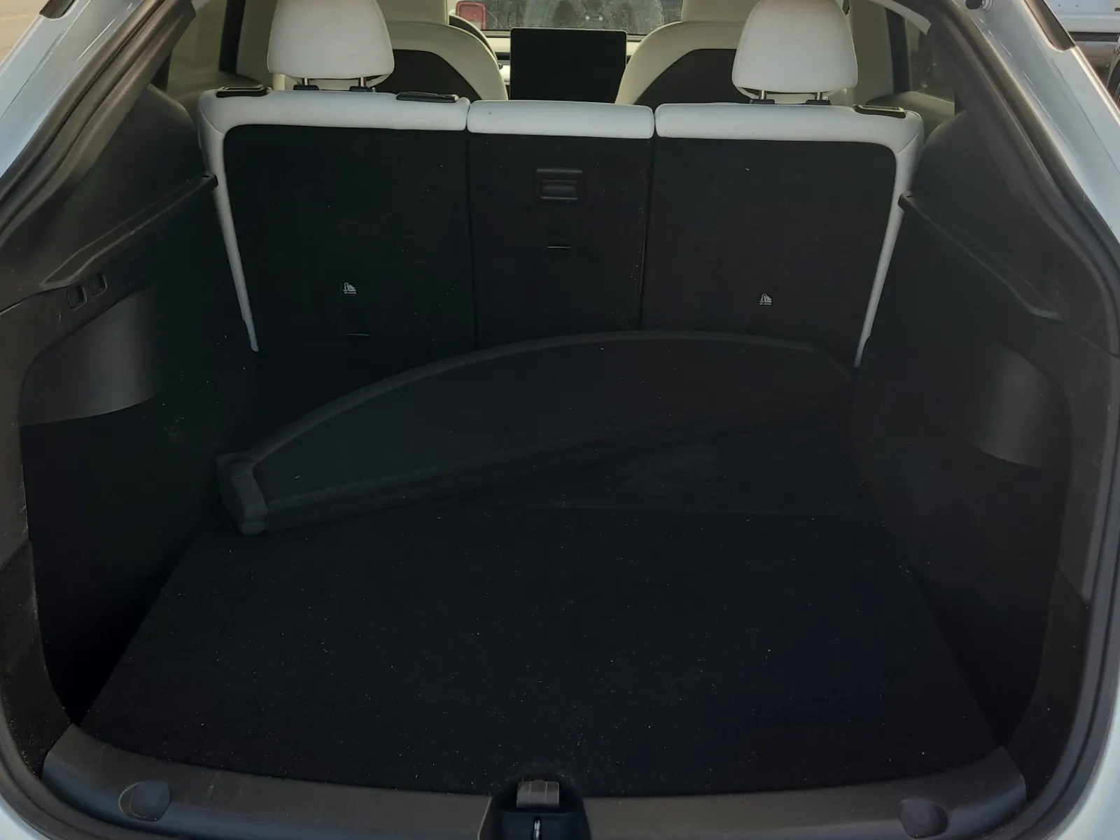Cargo Area Photo