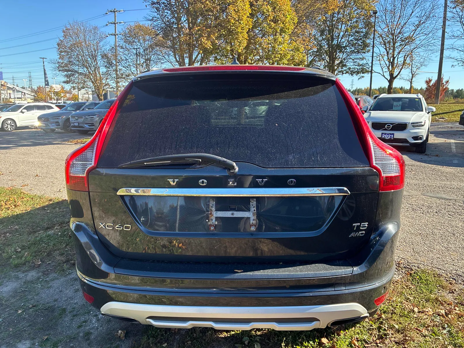 Back