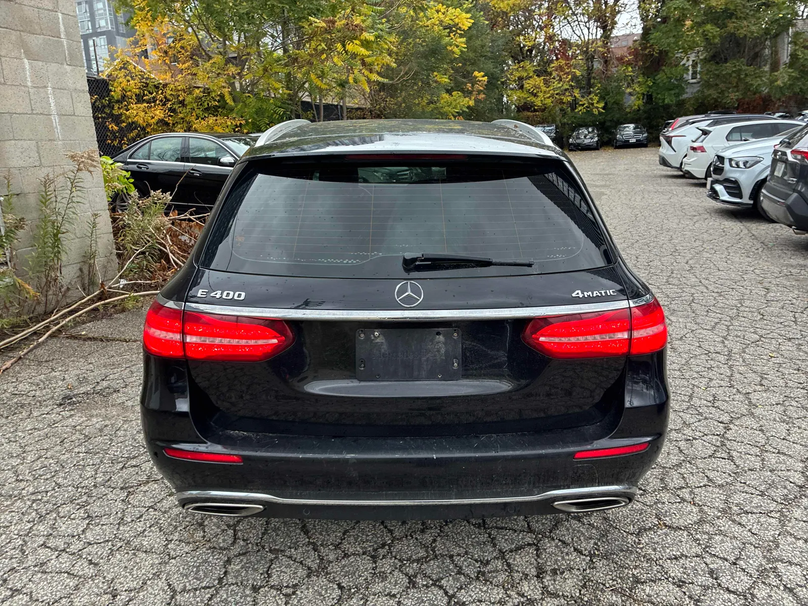 Back