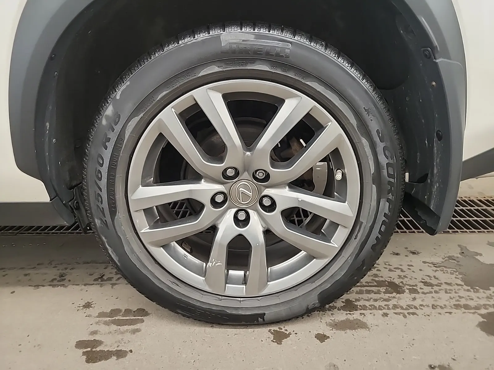 Left Rear Wheel/Tire Photo