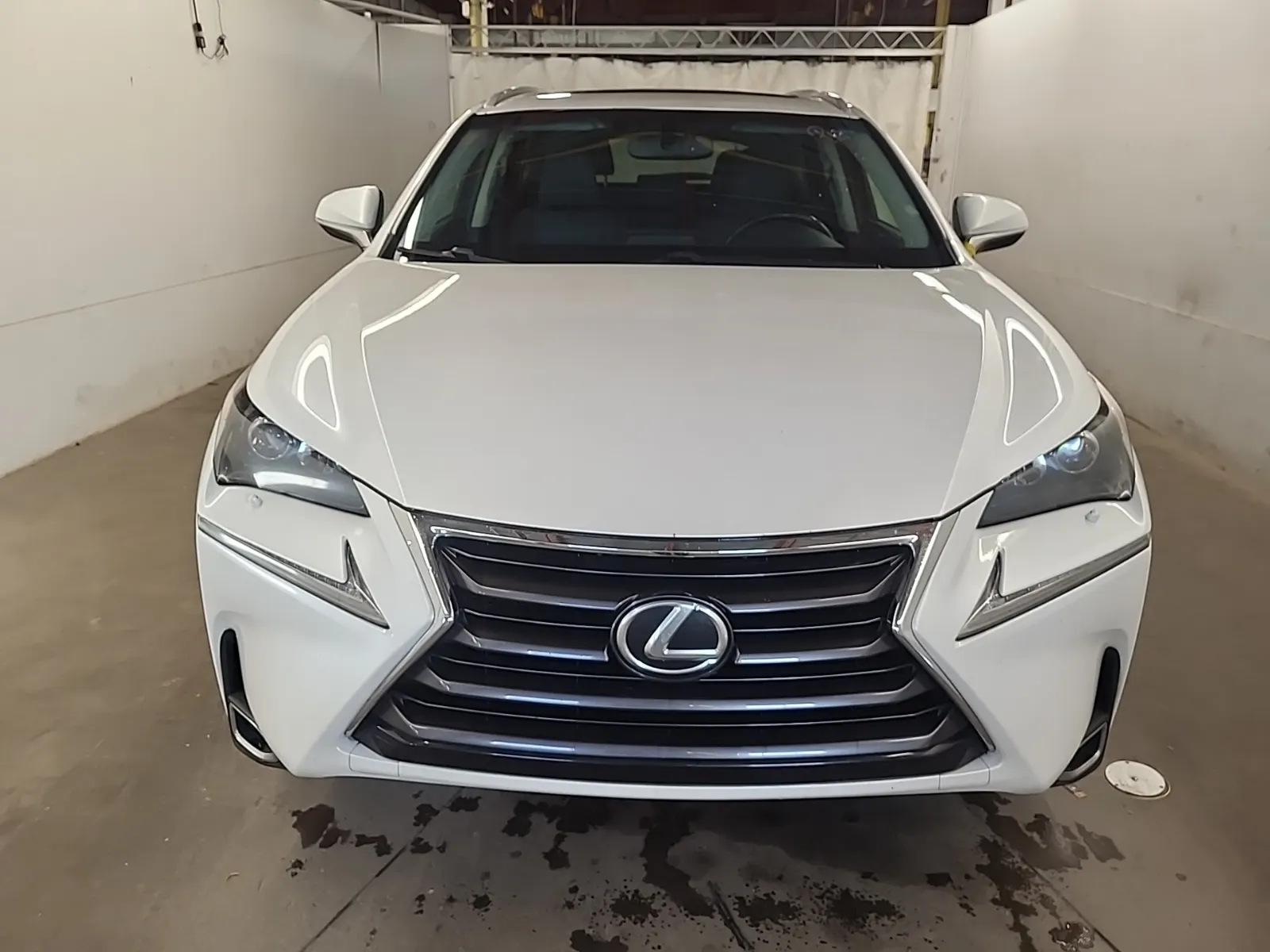 Full Front Photo