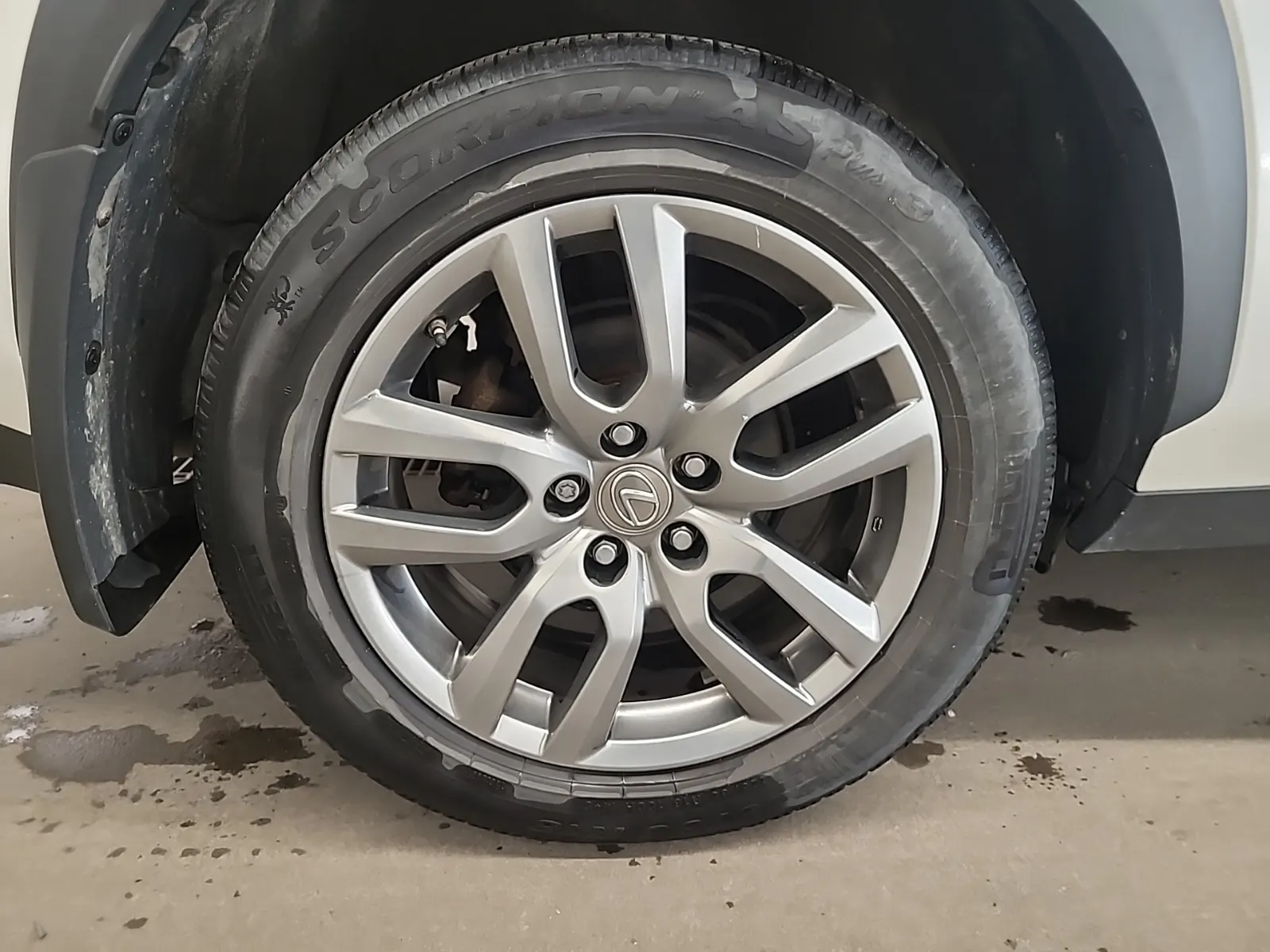 Right Rear Wheel/Tire Photo