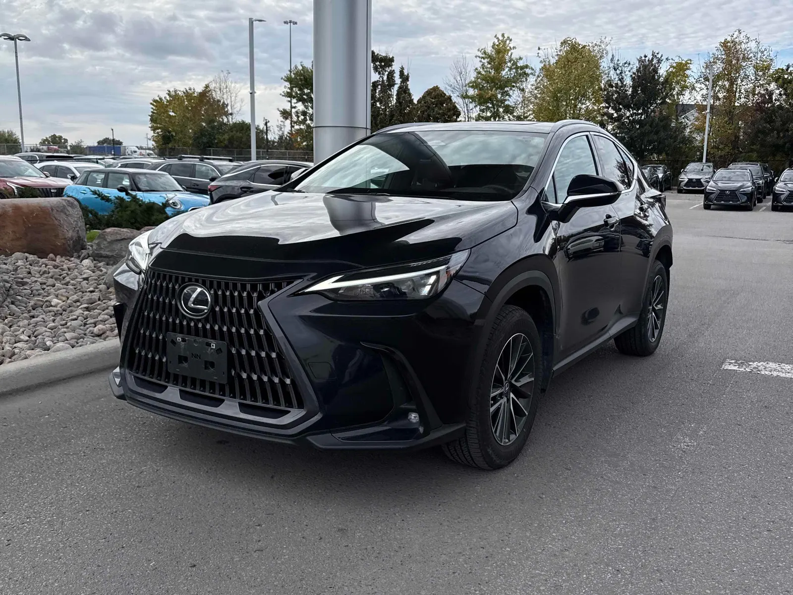 2025 Lexus NX