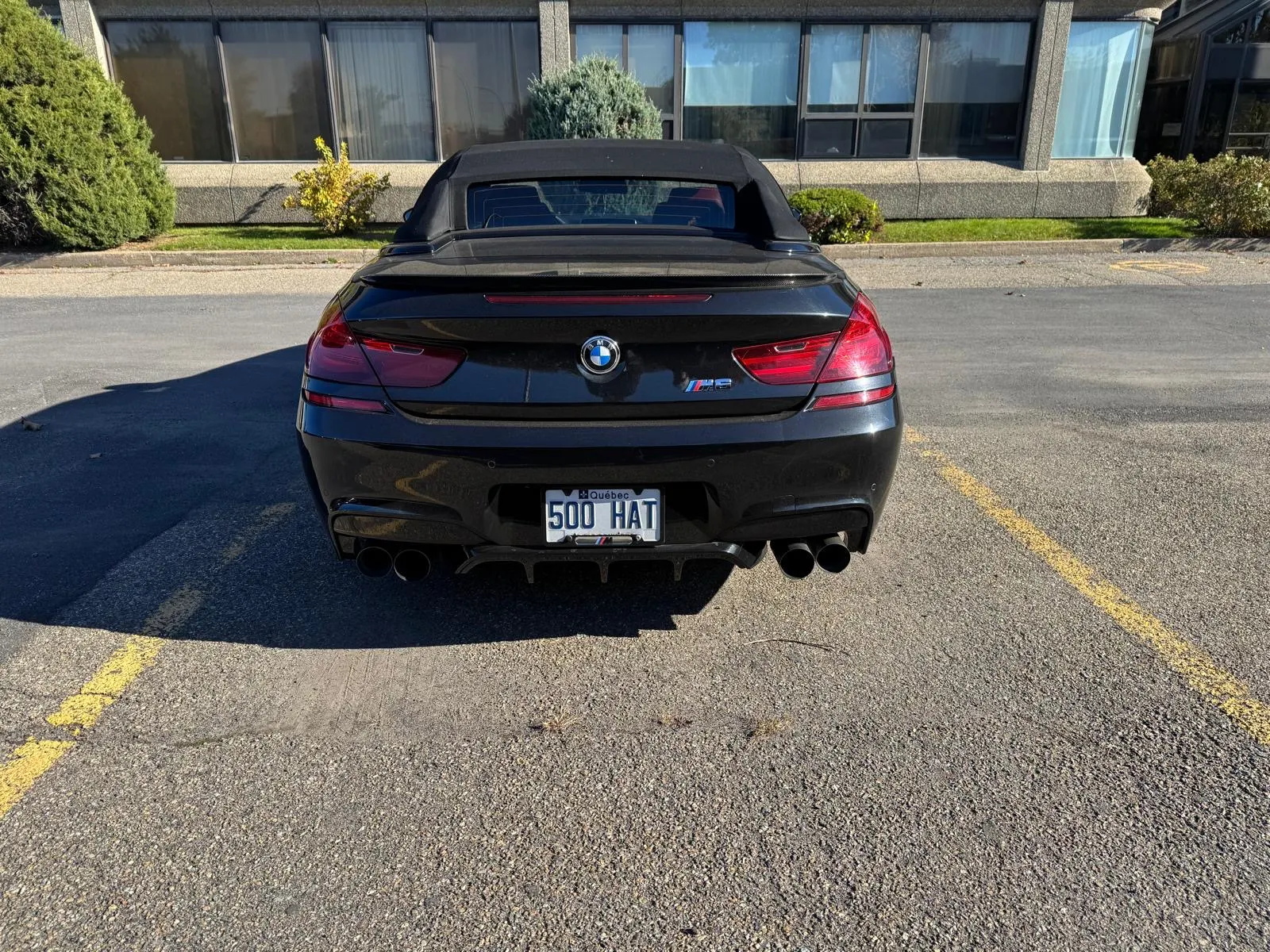 Back