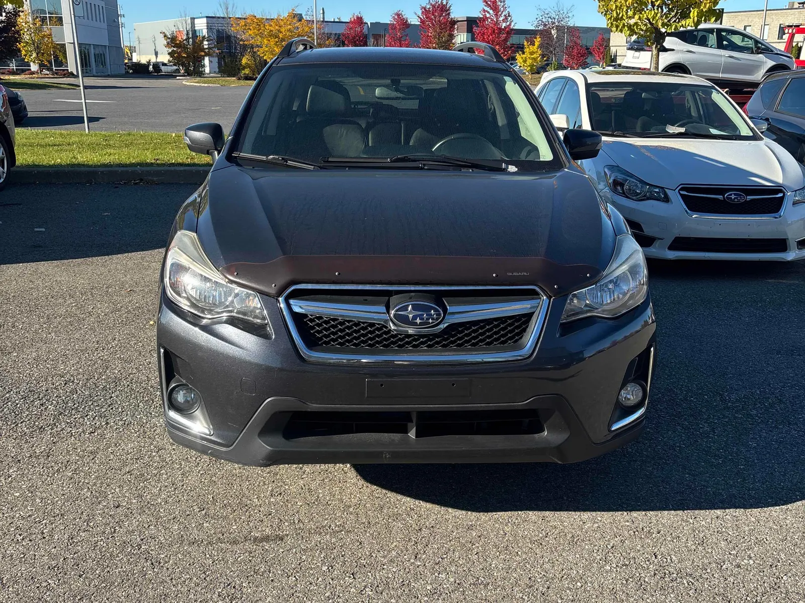 Front