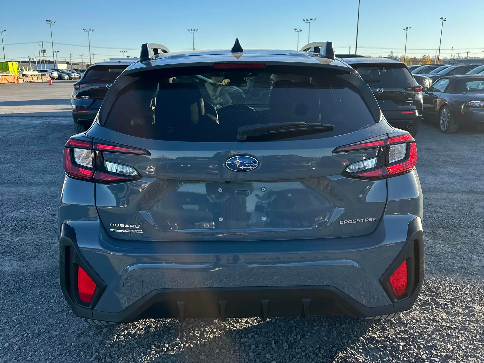 Back
