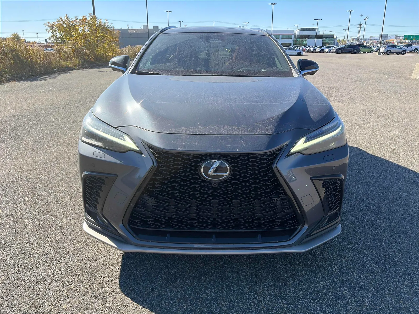 Front