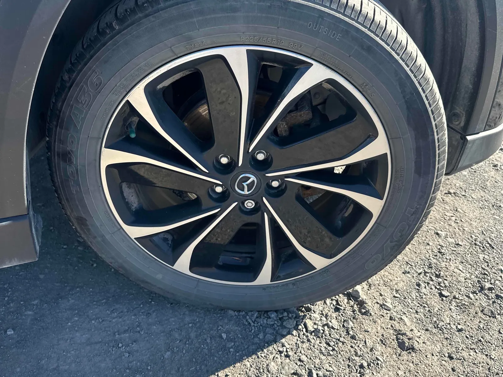 Tire