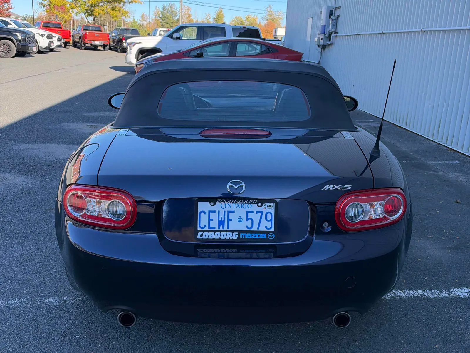 Back