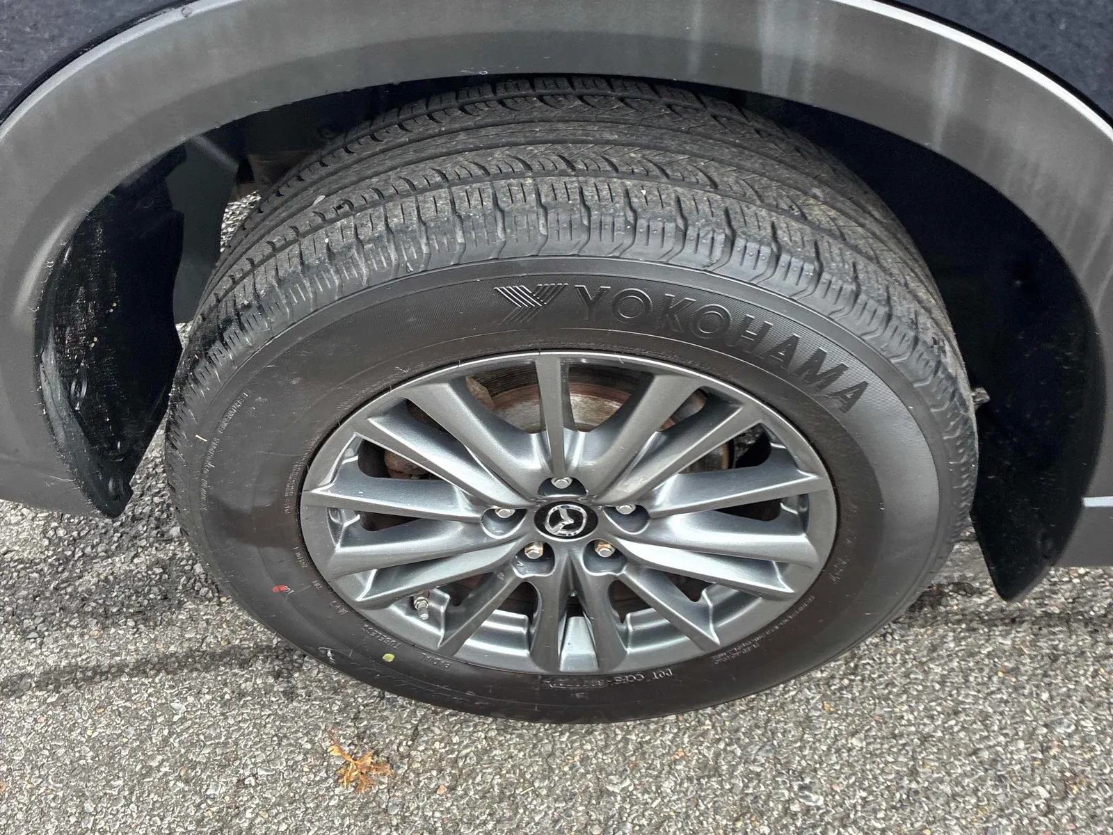 Additional Photo