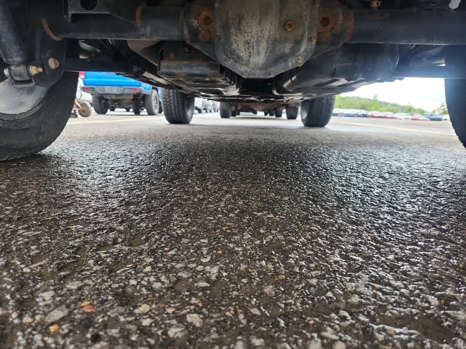 Undercarriage - Rear Photo