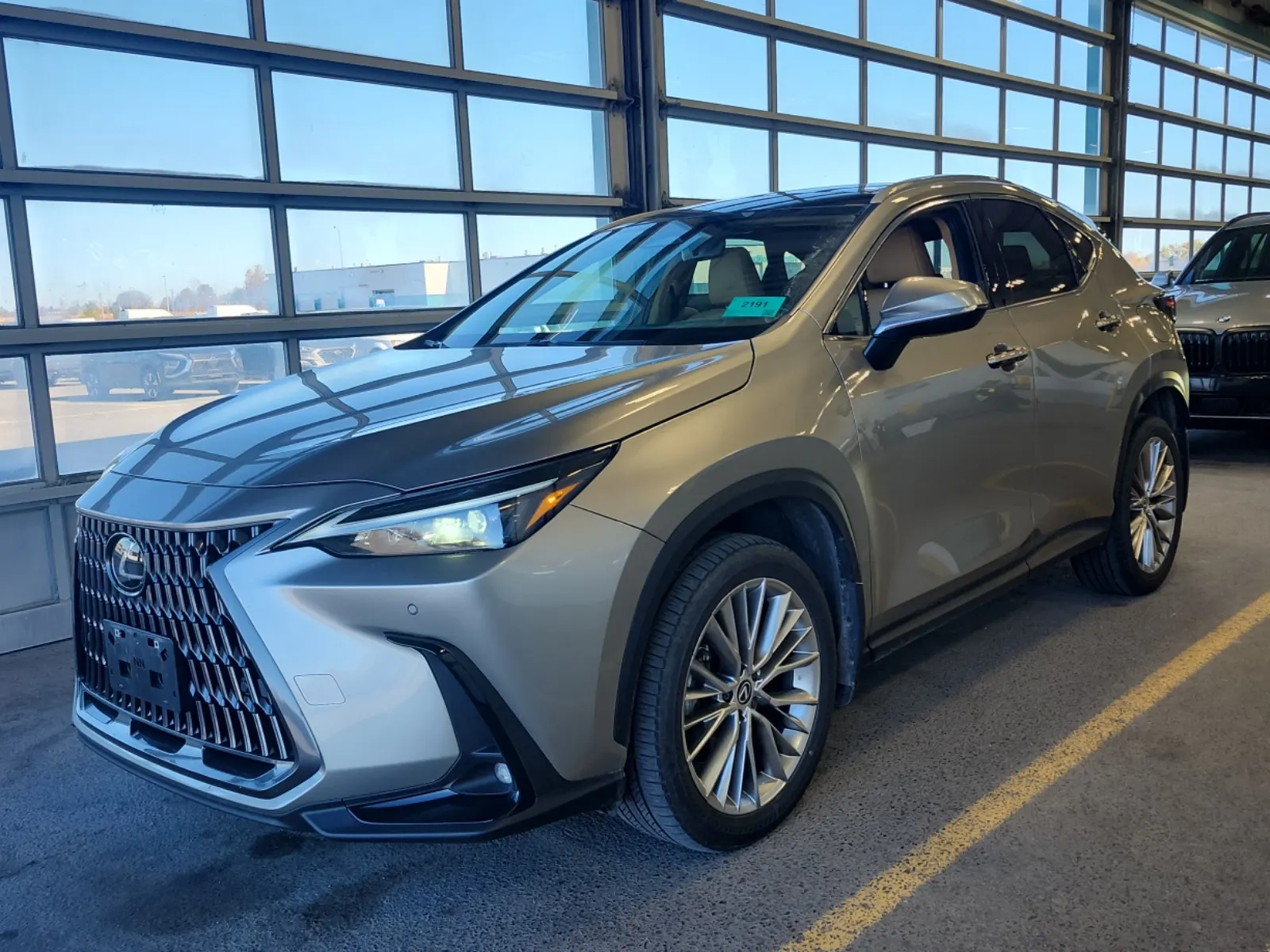 2025 Lexus NX