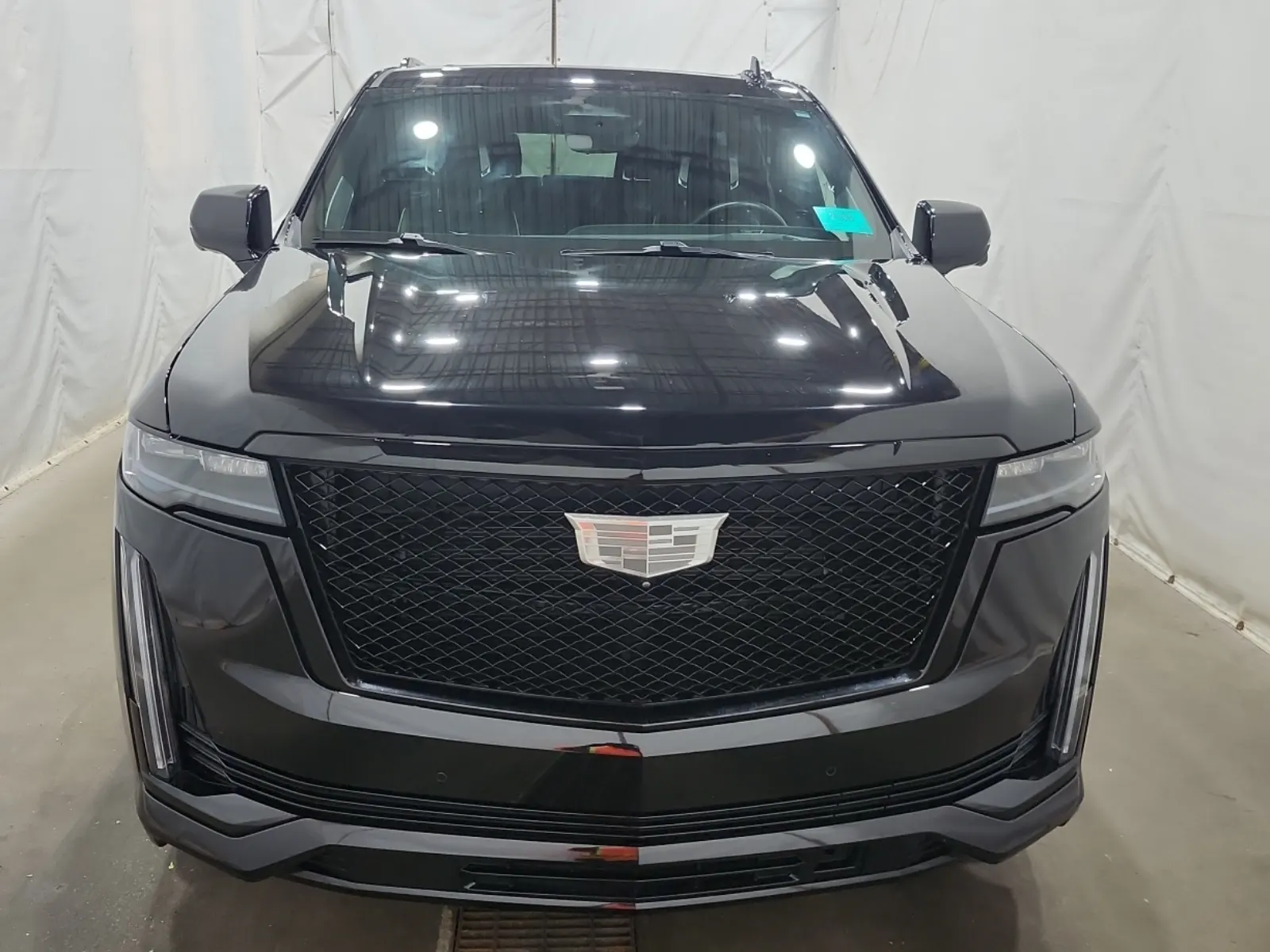 Full Front Photo
