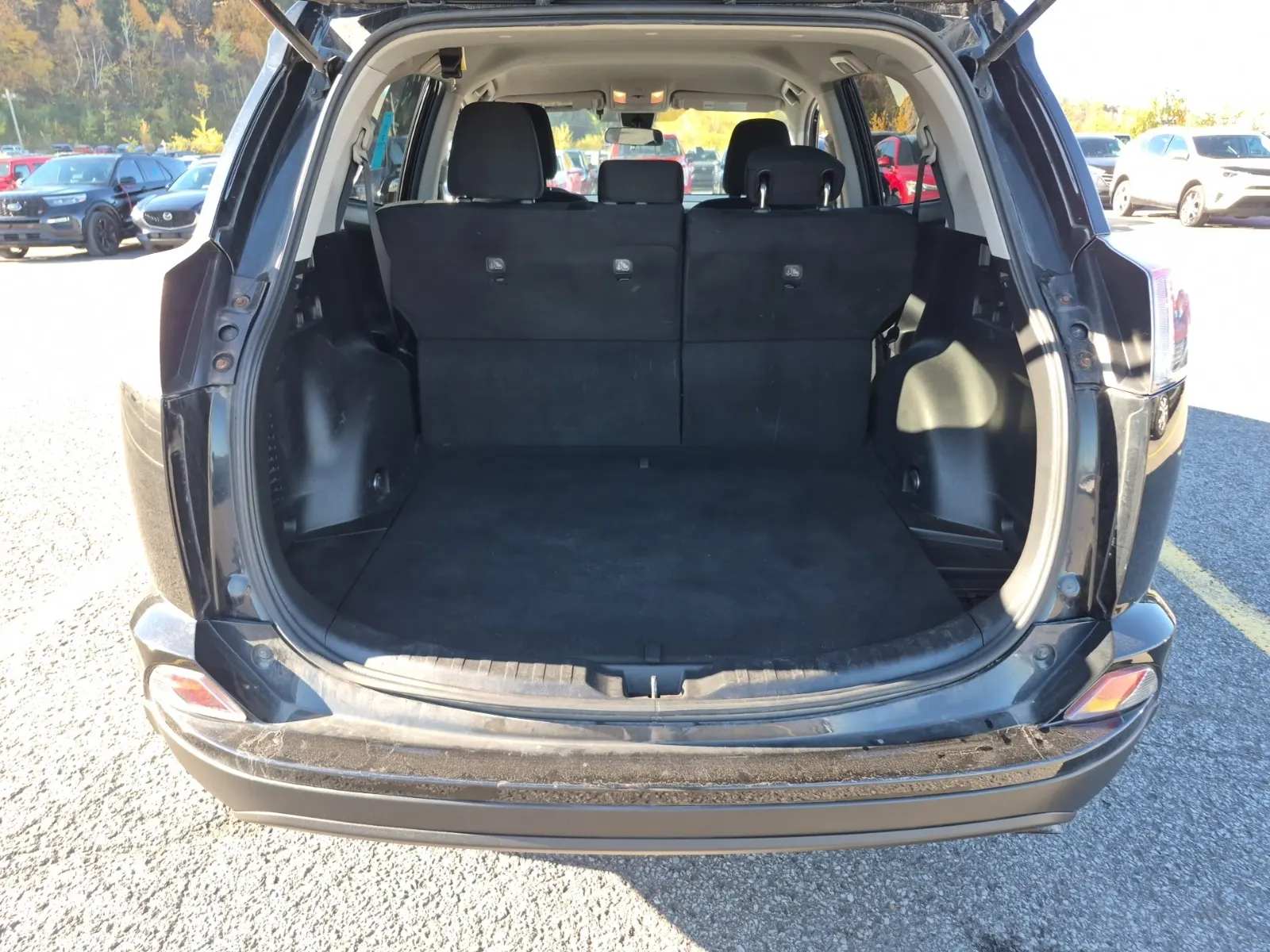 Cargo Area Photo