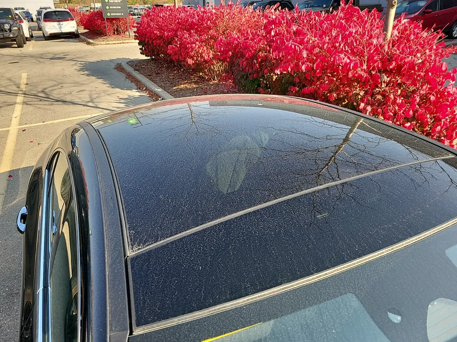Exterior Roof Photo