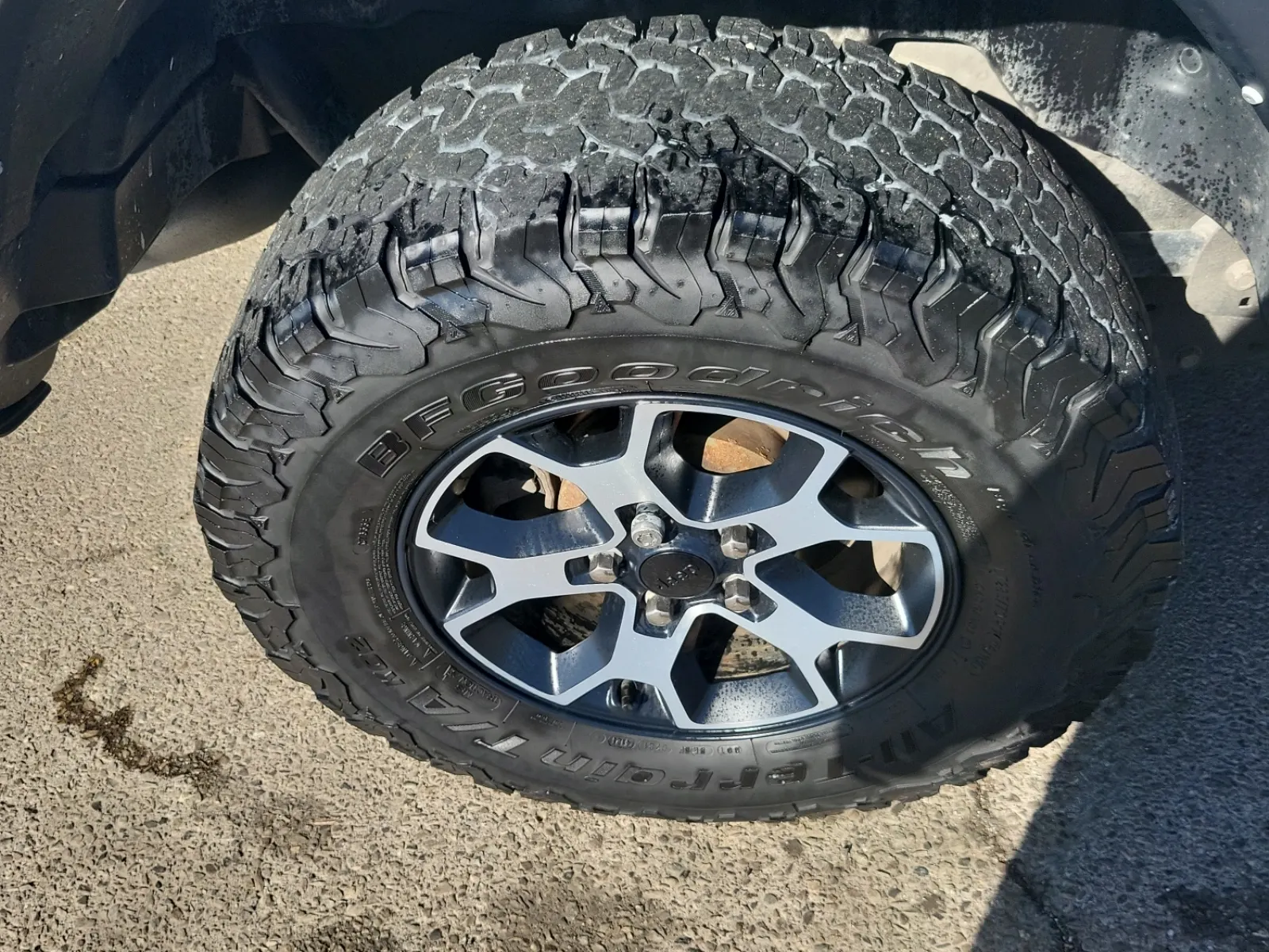 Right Rear Wheel/Tire Photo