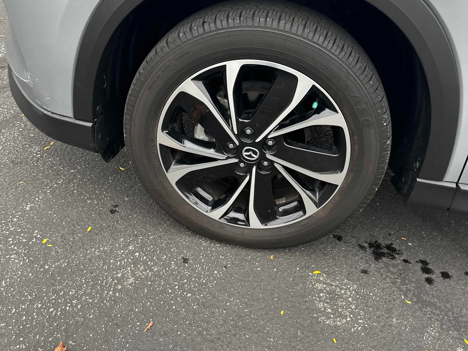 Tire