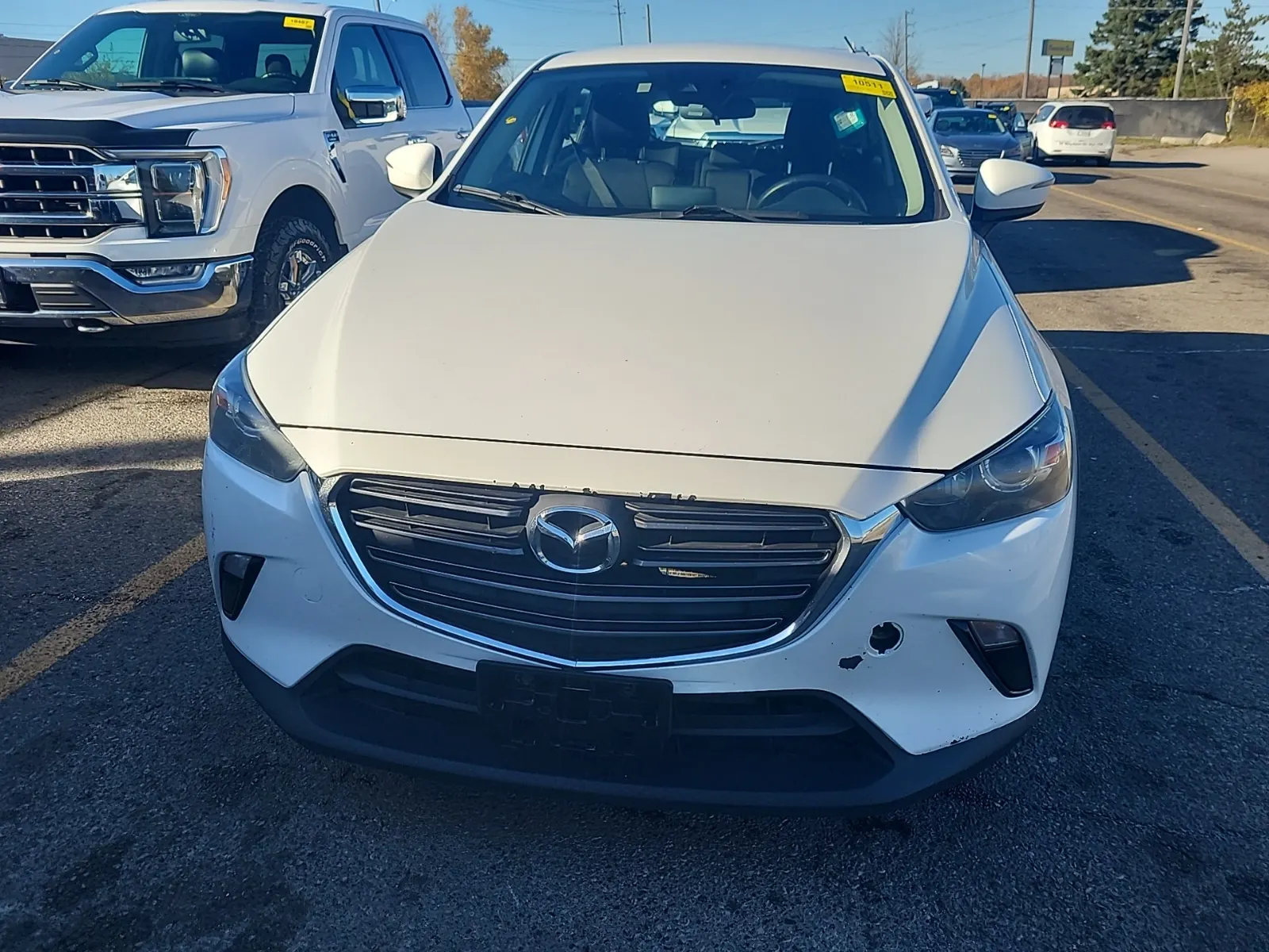 Full Front Photo