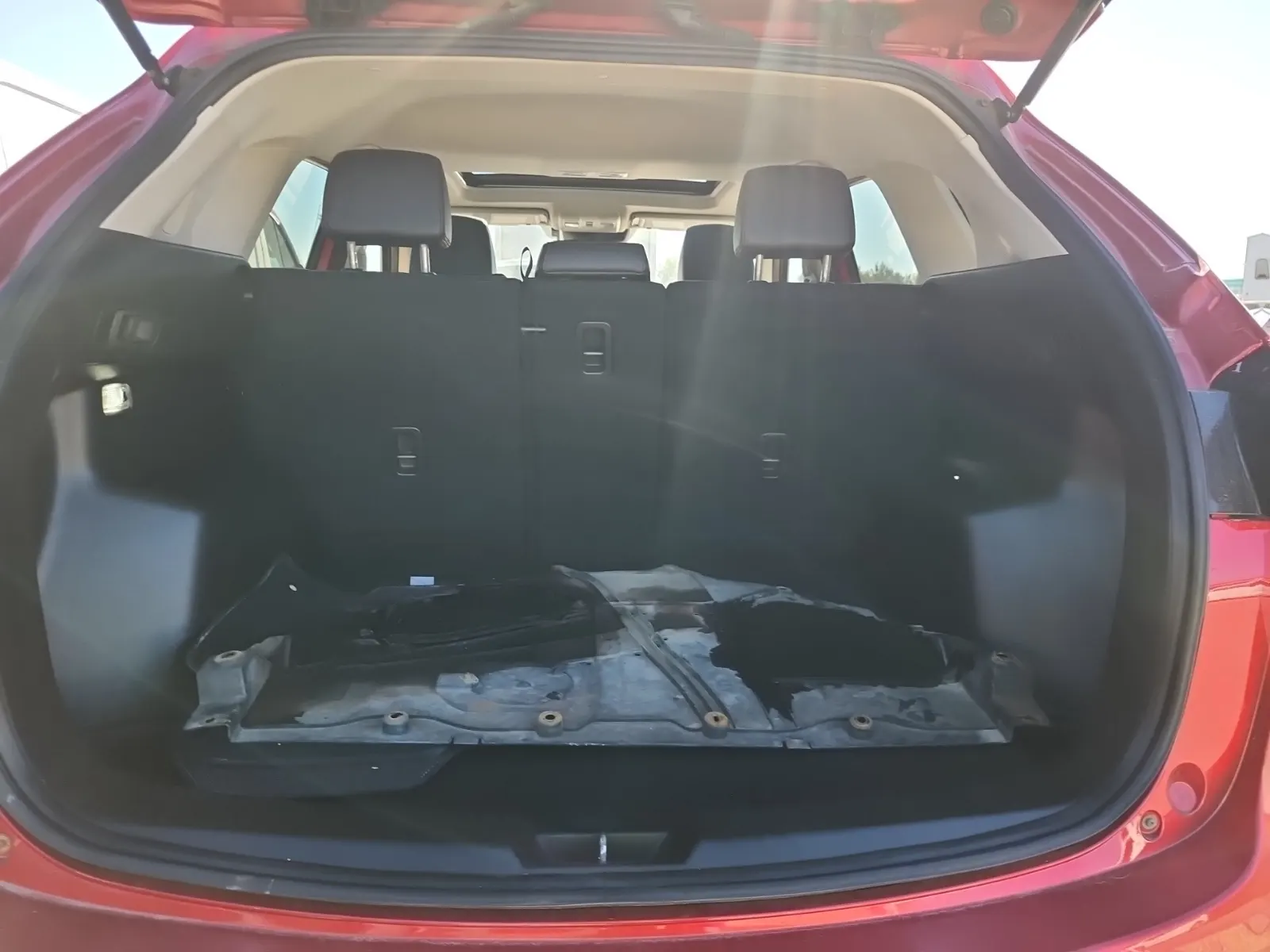 Cargo Area Photo