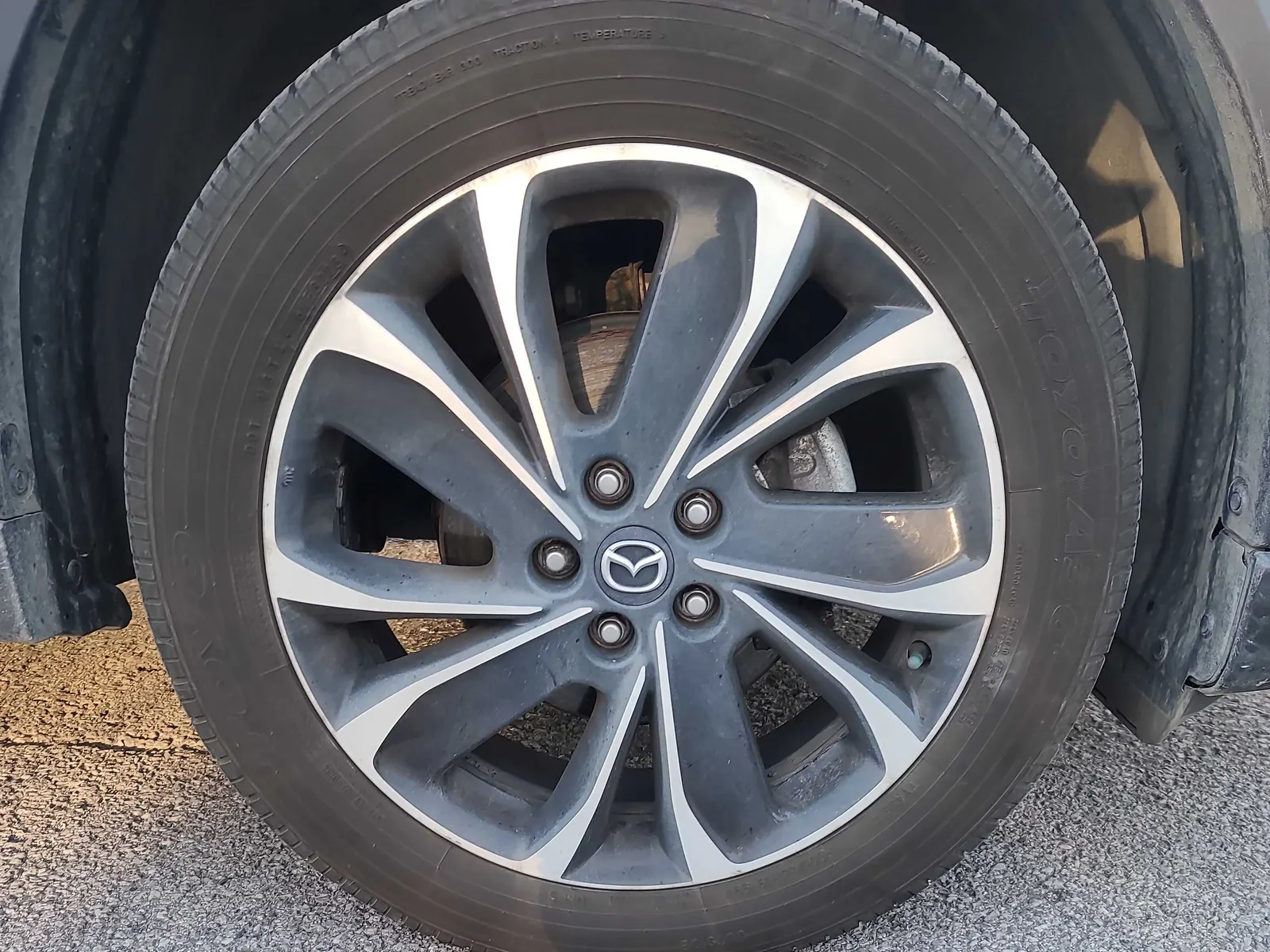 Tire