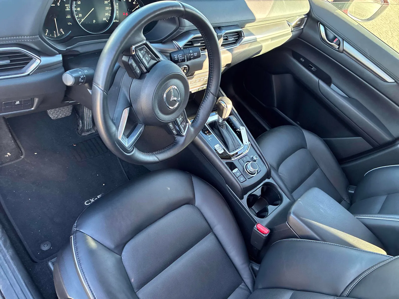 Interior driver side