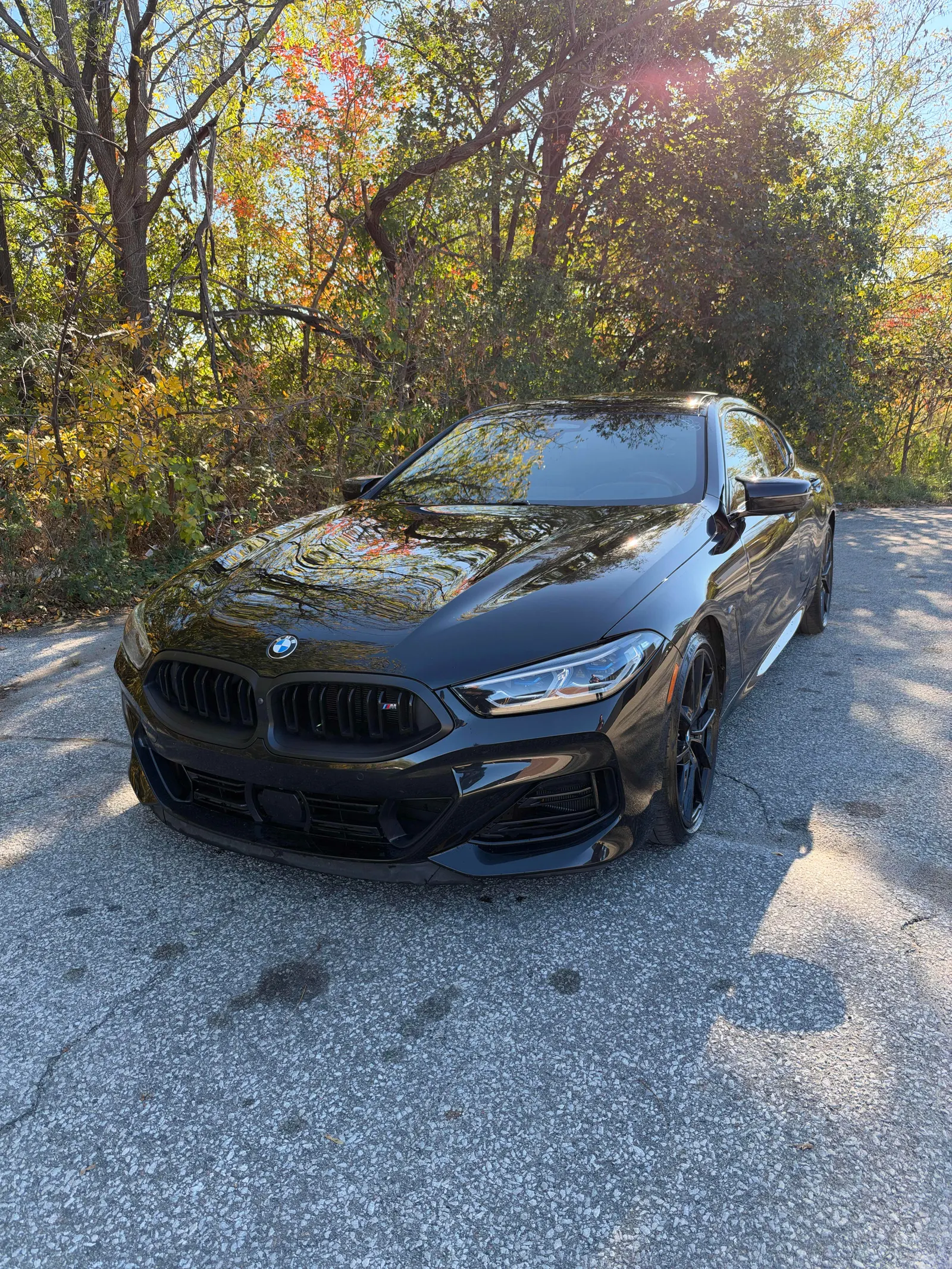 2025 BMW 8 Series