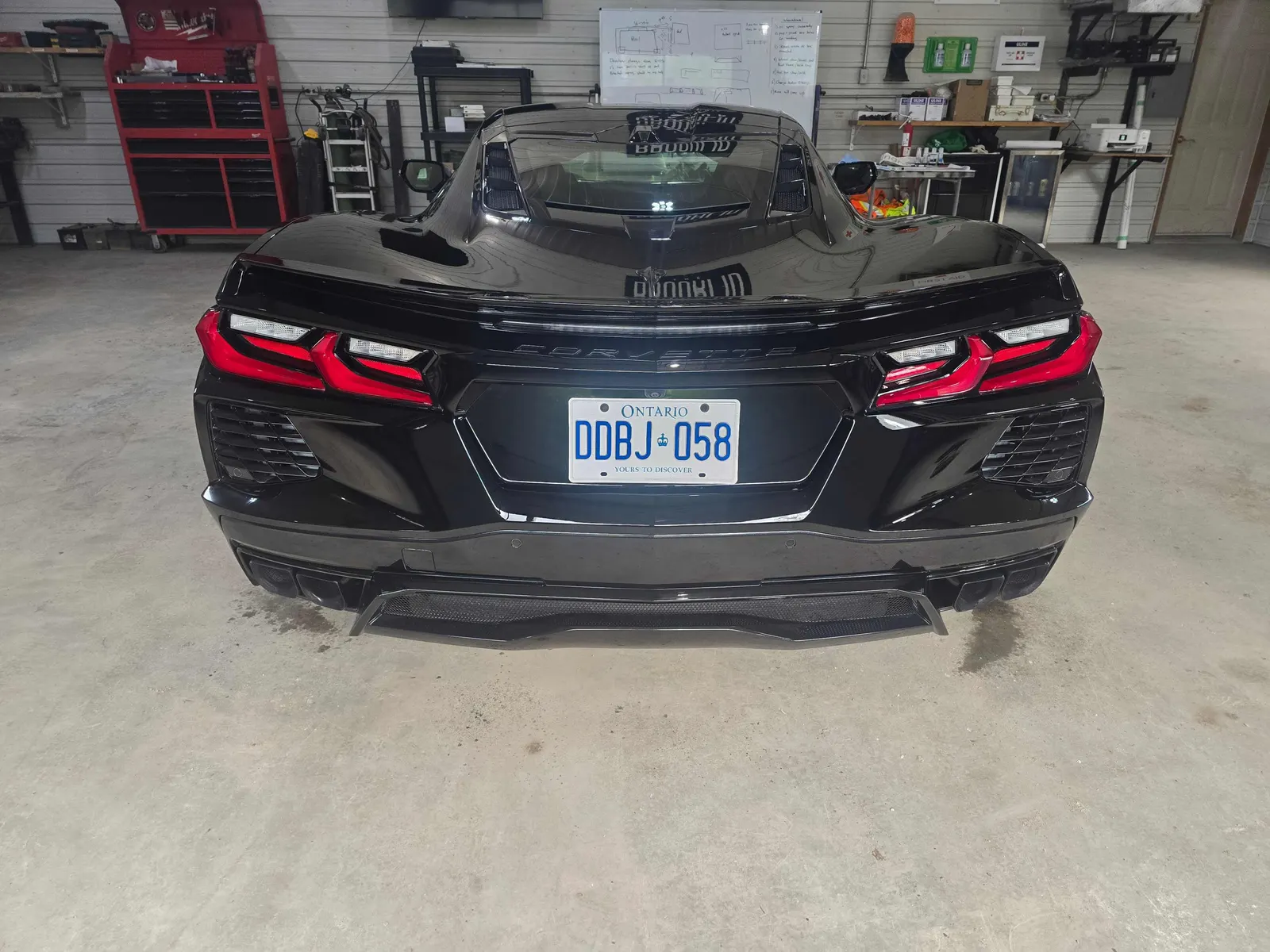 Back