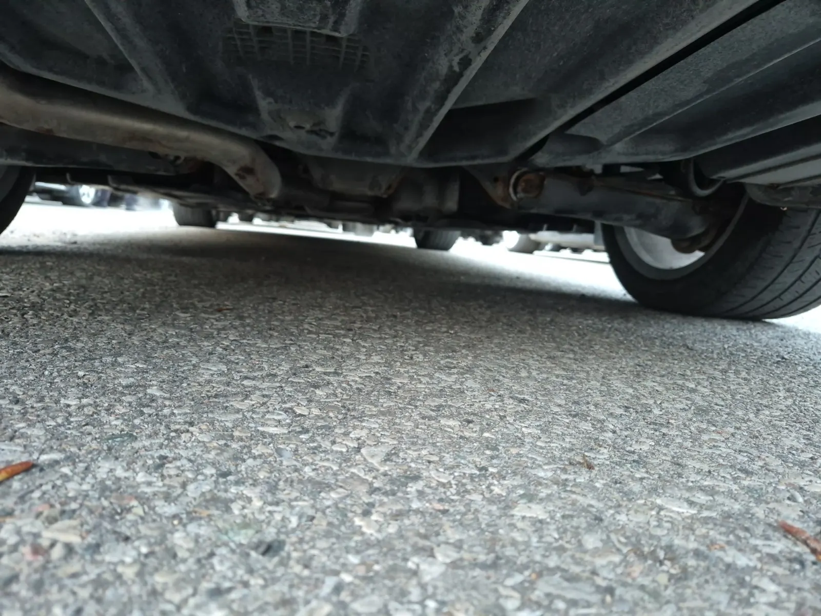 Undercarriage - Rear Photo