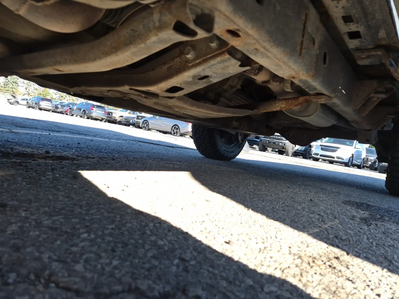 Undercarriage - Driver Photo