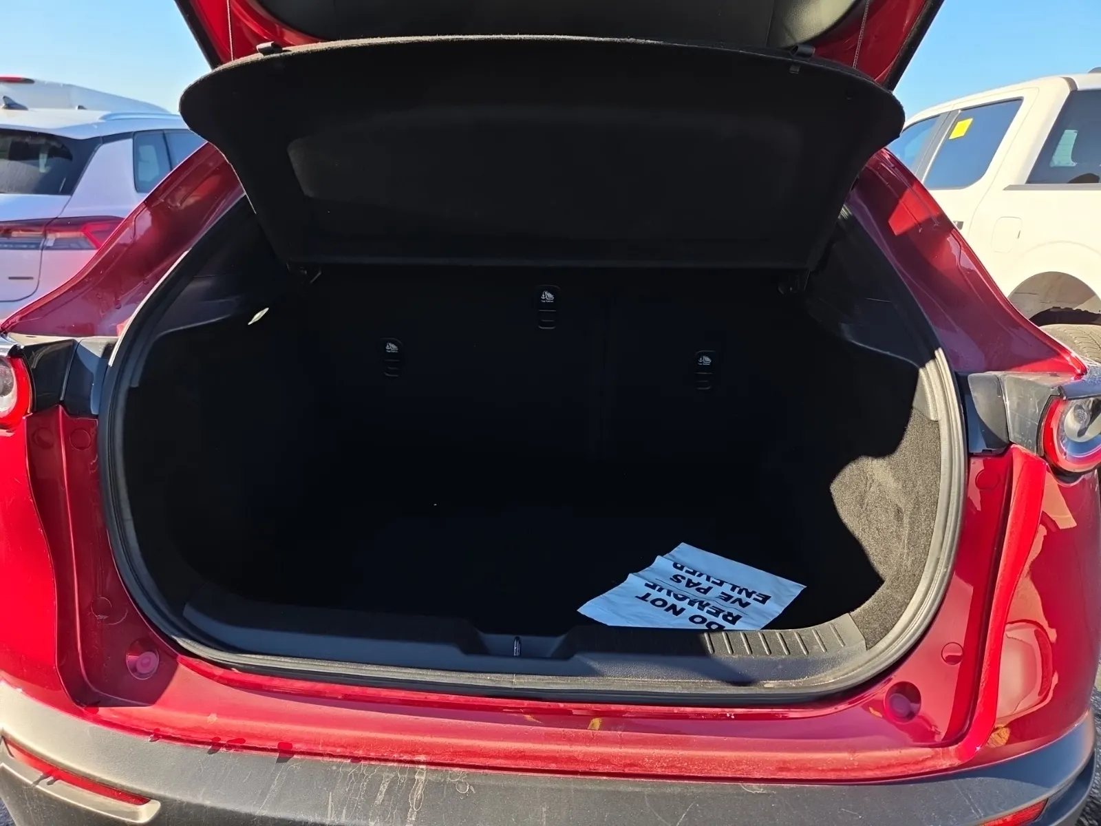 Cargo Area Photo