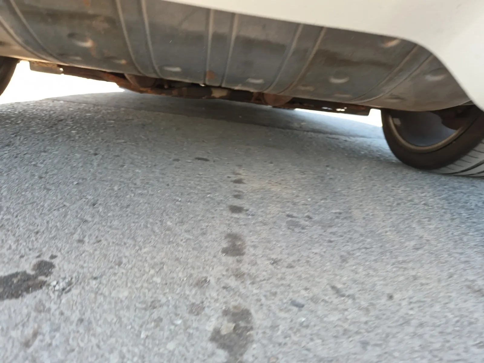 Undercarriage - Rear Photo