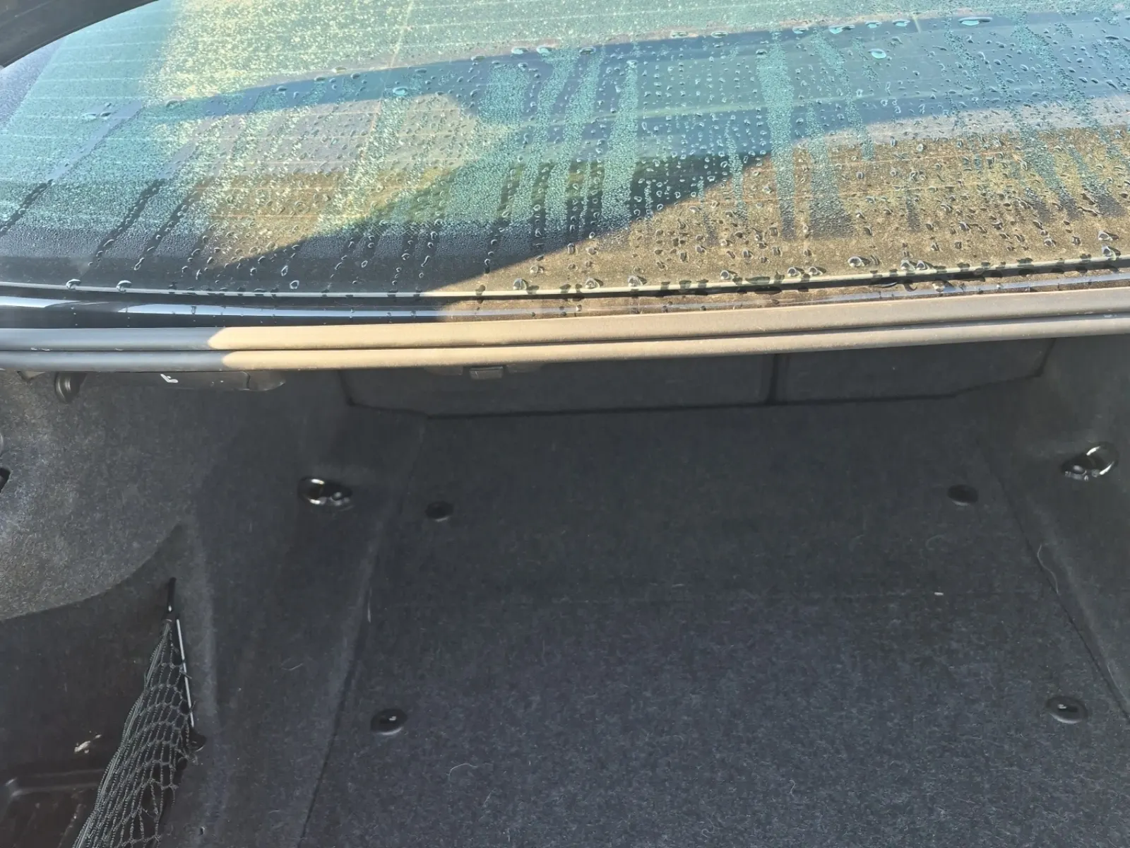 Cargo Area Photo