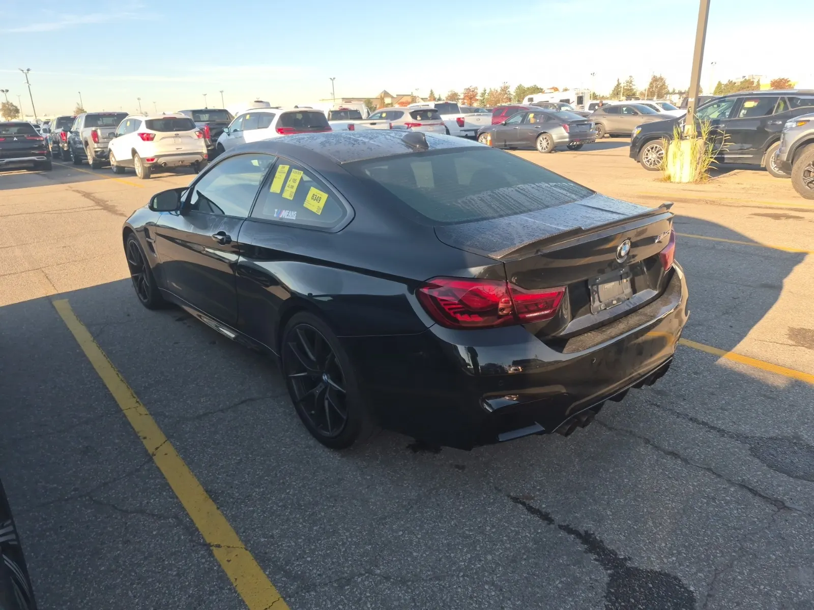 Driver Rear 3/4 Photo