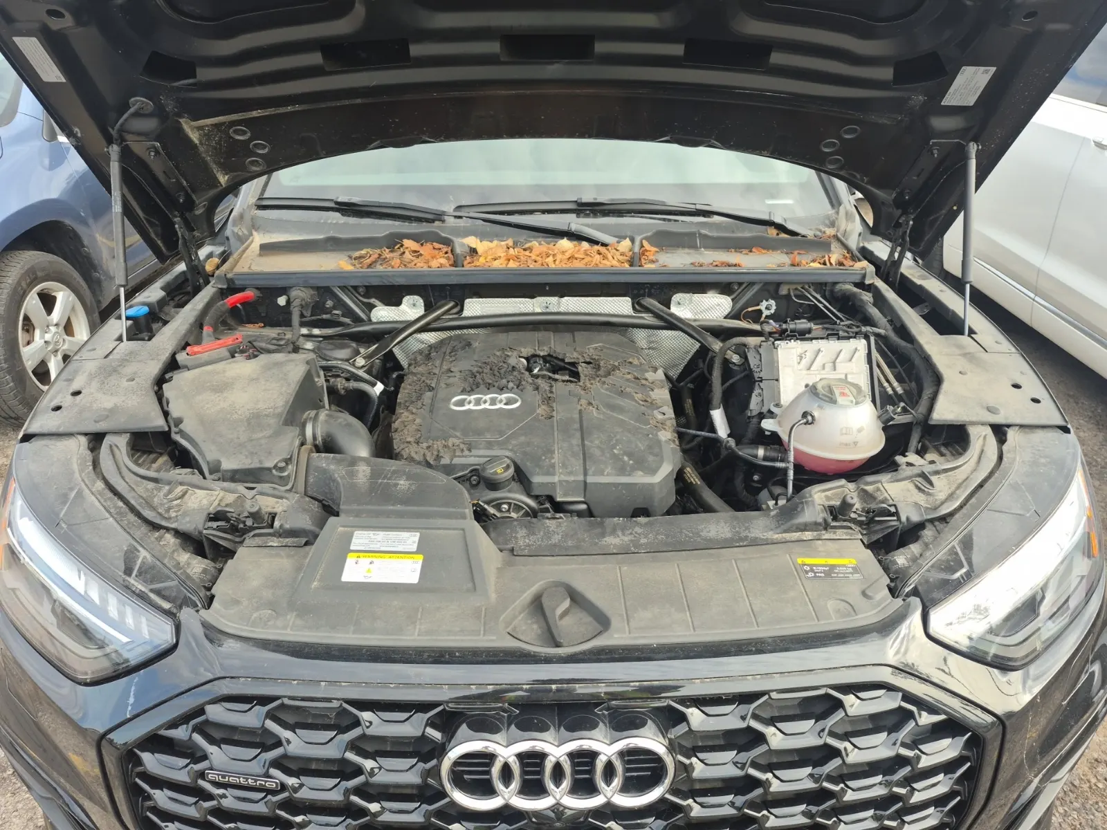 Engine Photo