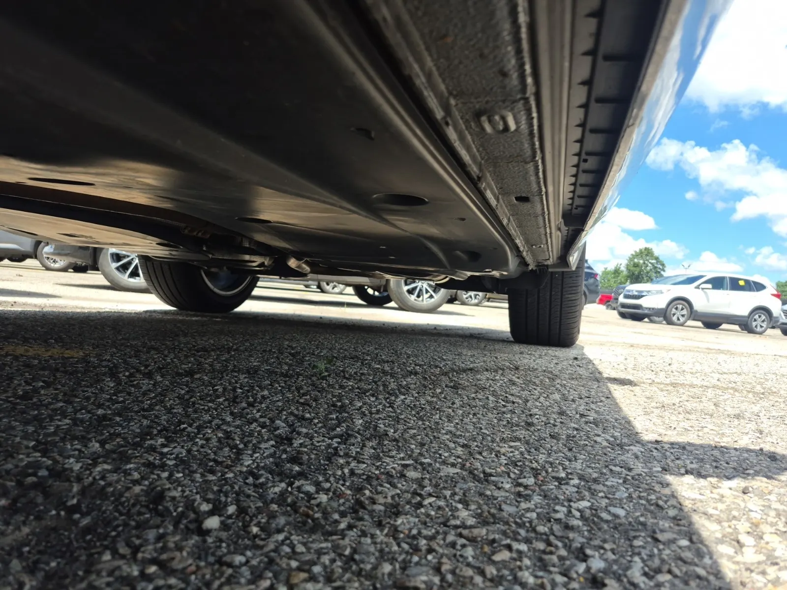 Undercarriage - Driver Photo