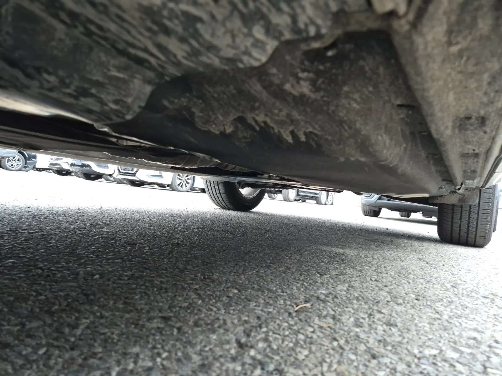 Undercarriage - Driver Photo