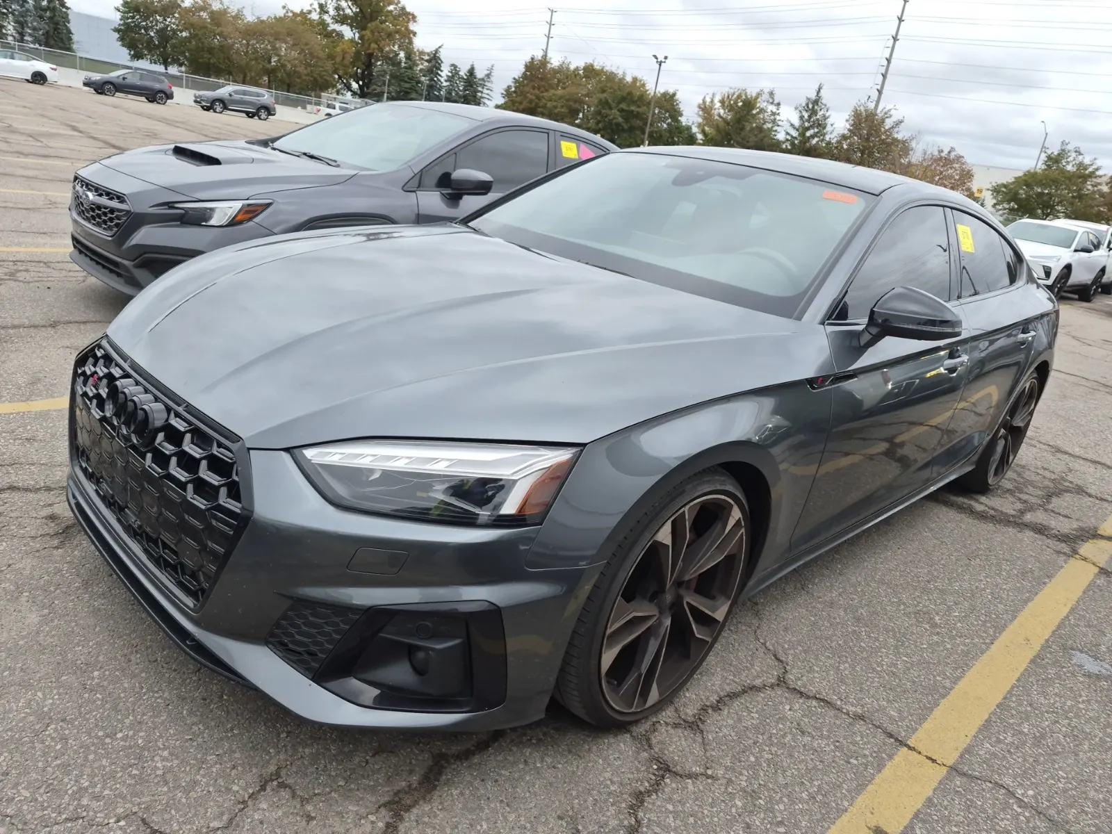 2023 Audi S5 Sportback