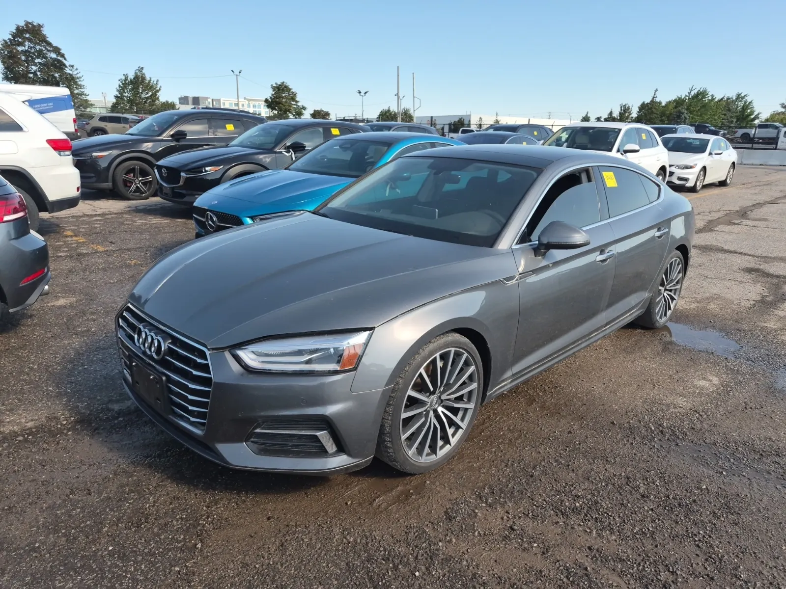 2019 Audi A5 Sportback